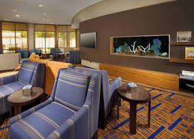 Courtyard by Marriott San Antonio Lackland 3