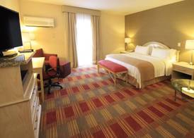 Holiday Inn MONCLOVA by IHG 2