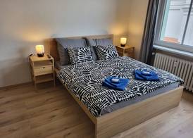 City Center Apartments - Moderna Brno Římské náměstí I 5