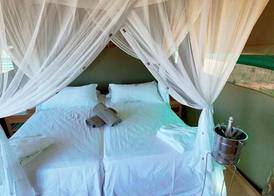 Suricate Tented Kalahari Lodge 4