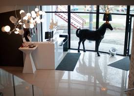 NoBo Hotel - business 2