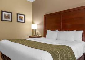 Comfort Inn Duncansville - Altoona 5
