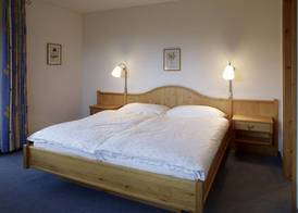 Hotel Alpina Parpan 3