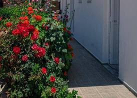 Kefalos Studios Anthoula 4