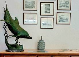 Dolphin Hotel 5
