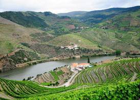 Hotel Rural Quinta Do Pego 3