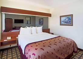 Microtel Inn & Suites by Wyndham Holland 5