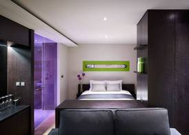 Hotel Peyto Gangnam 4
