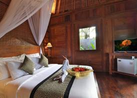 Anandari Ubud Villa 3