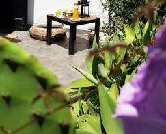 B&B La Mimosa 3