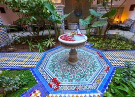 Riad Toyour- Riad of birds 2