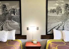 Super 8 by Wyndham Vincennes 4