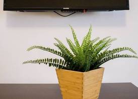 Nest 5