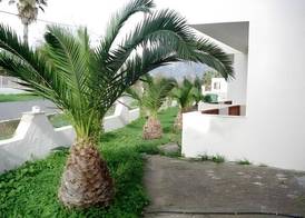 Greek Islands Studios 4