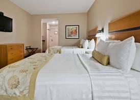 Best Western Plus Chateau Inn Sylvan Lake 5