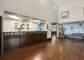 Comfort Inn & Suites Airport South 4
