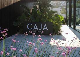 Caja by Maxx Royal 3