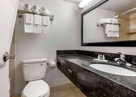 Quality Inn & Suites Vestal Binghamton 5