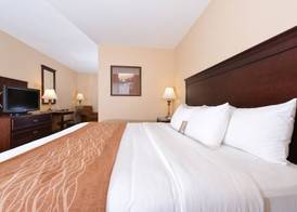 Comfort Inn & Suites McMinnville Wine Country 4