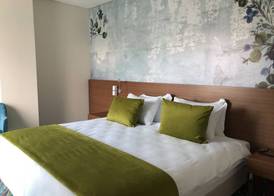 ibis Styles Izmir Bornova 3