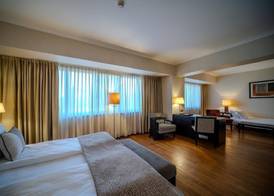 Hotel Rivo Timisoara 3