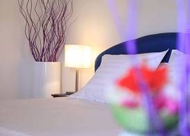 Les Amaryllis Saly 3