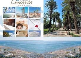 Relais Concorde 3