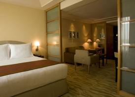 The Grand New Delhi 4