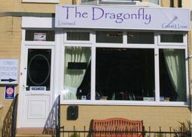 The Dragonfly 2