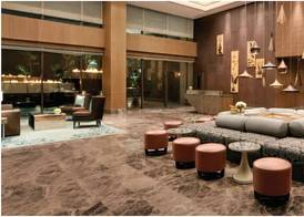 The Leela Ambience Convention Hotel Delhi 2