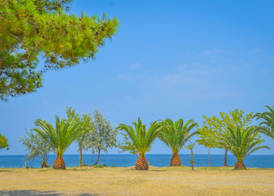 Inspira Boutique Hotel Thassos - Adults Only 2