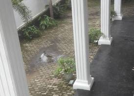 The Kingston Hotel 2