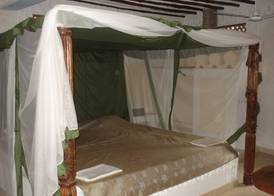 Coconut Village Beach Resort 2