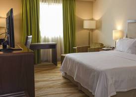 Holiday Inn Express & Suites CELAYA by IHG 4