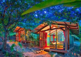 Jungles Edge Hotel, Jiu Jitsu, Muay Thai Retreat Center 2