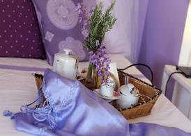 B&B Glicine 3