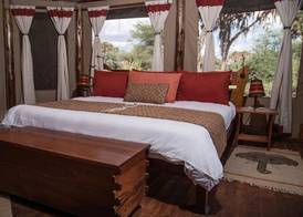 Elephant Bedroom Camp 4