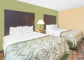 Baymont by Wyndham Holland 4