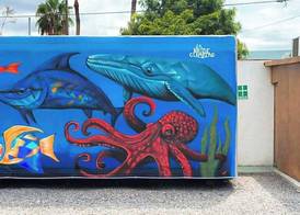 InHouse Glamping Hotel La Paz 3