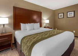 Comfort Inn & Suites Pittsburgh South 5