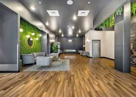 Dorsen Stay 5