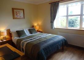 Bunratty Haven Bed & Breakfast 5