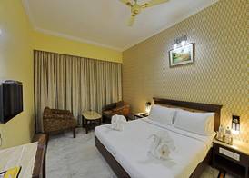 Raj palace 5