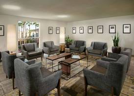 Tempe Mission Palms 2