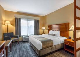 Best Western PLUS University Park Inn & Suites 5