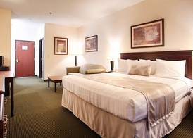 Best Western Jacksonville Inn 3