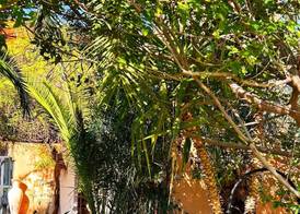 Les Jardins D'Issil Maison d'Hôtes 2