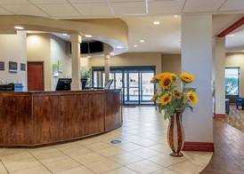 Comfort Suites Airport South 2