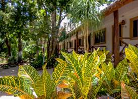 Hotel Tequila Cancun 5