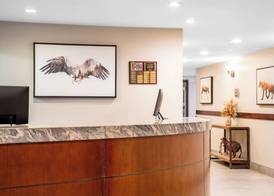 Falcon Crest Lodge by CLIQUE 2
